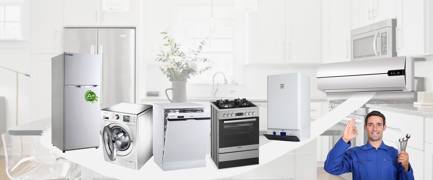 İnönü Gaggenau Servisi